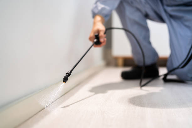 Certified termite inspector examining foundation in Kilmarnock