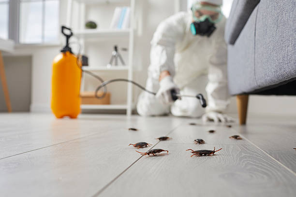 Commercial Rodent Management in Kilmarnock